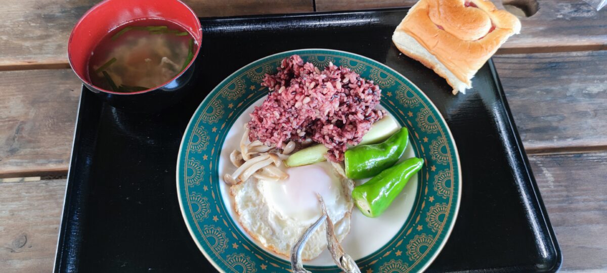 Petit déjeuner de la ferme sur l'île d'Iriomote, Okinawa
