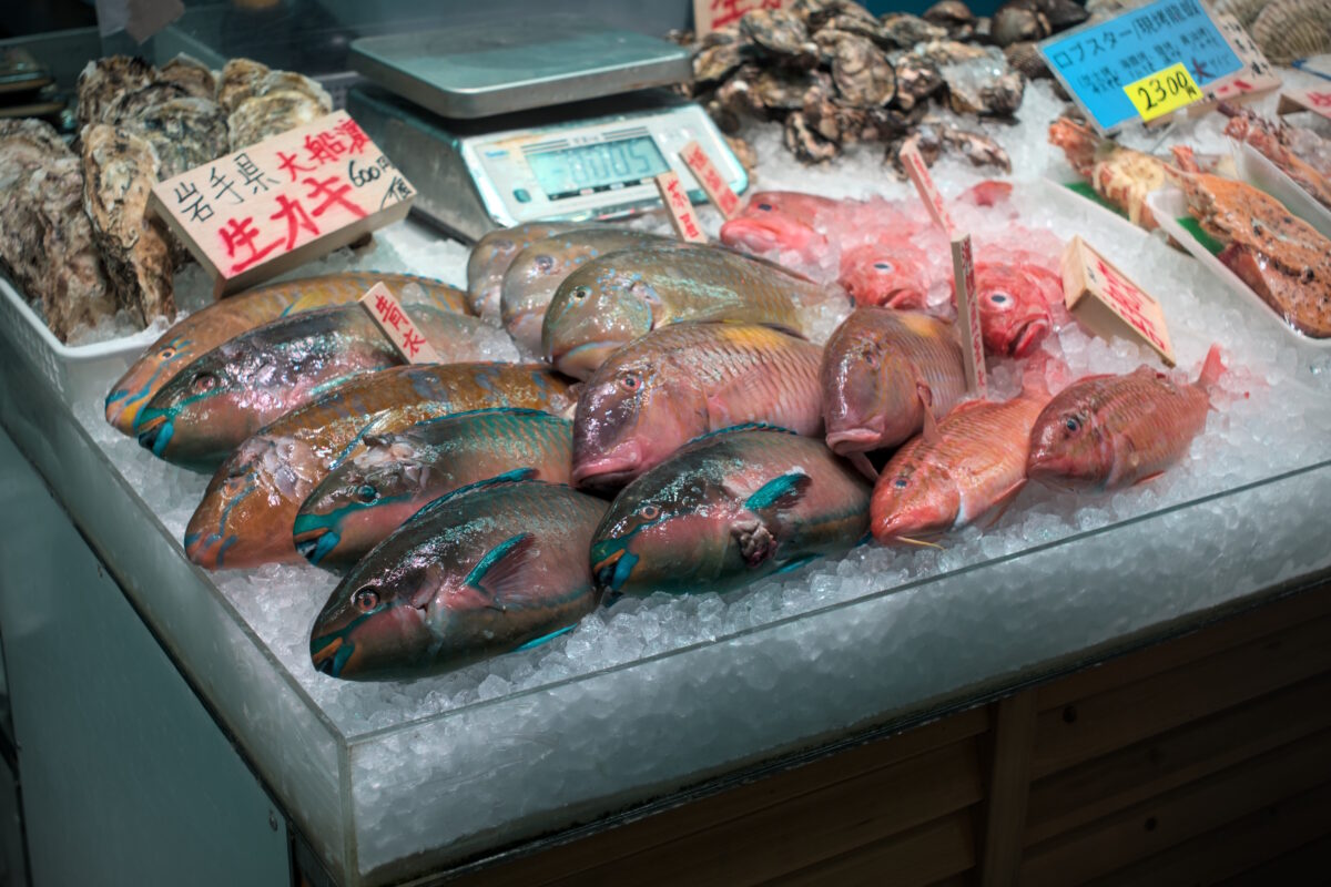 Marché aux poissons, trésors cachés Kerama Naha