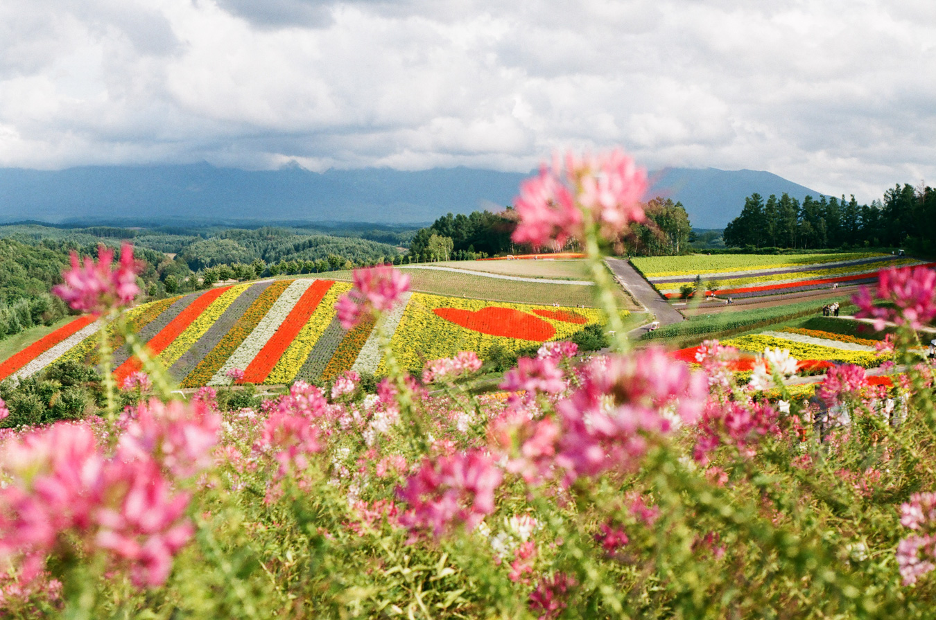 Parcourir les routes sauvages d’Hokkaido
